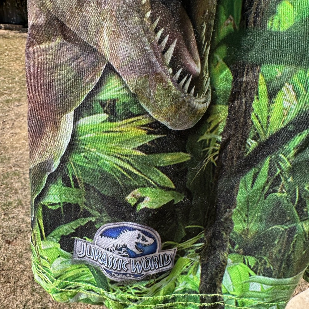 Jurassic World Dinosaur Swim Trunks - Picture 2 of 4